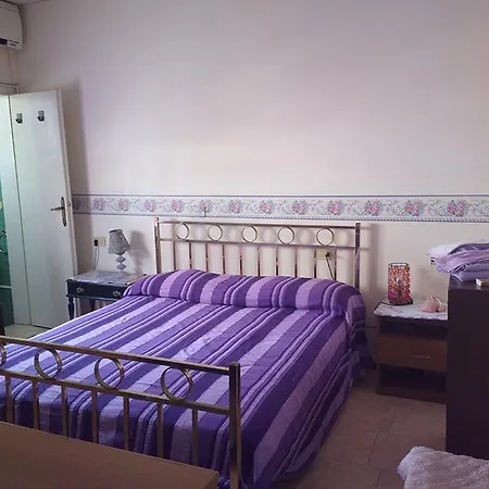 Delhy 2* 维亚雷焦